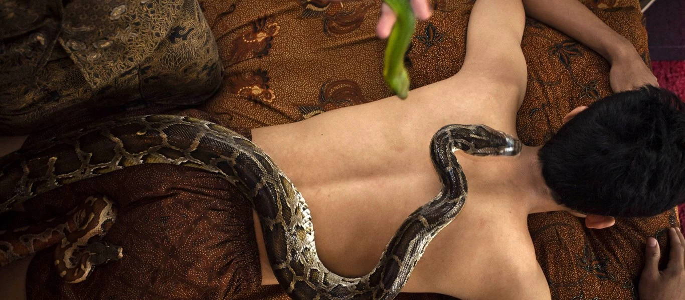 Τρέξτε να προλάβετε! - Σας παρουσιάζουμε το μασάζ... με φίδια (βίντεο)